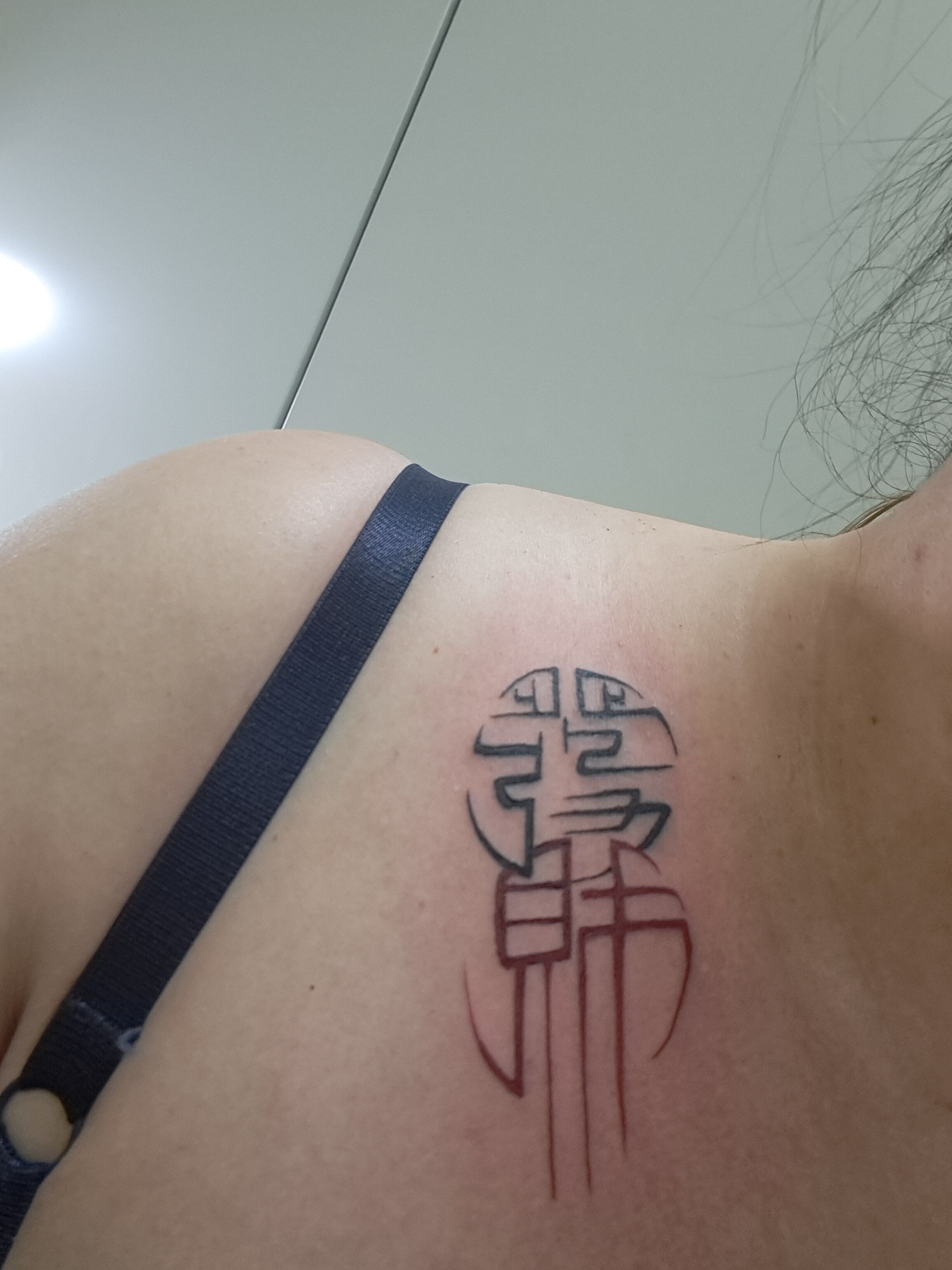 Welcome to 2026!!!【オカマリレー(ハイファミリア・TOY SOLDIER・七色パトス)】