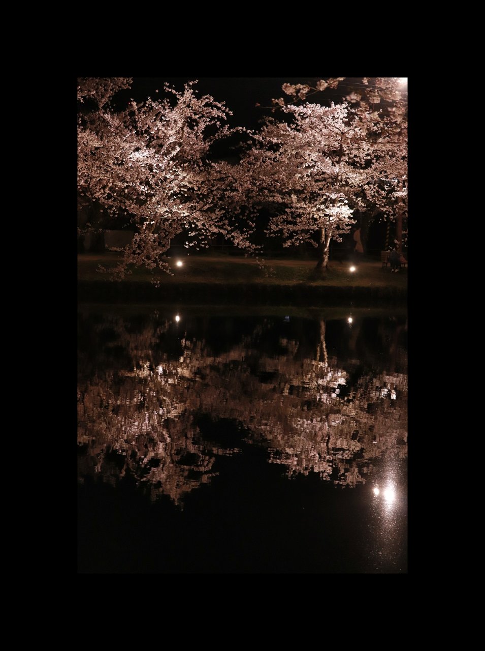 20190423202715_p