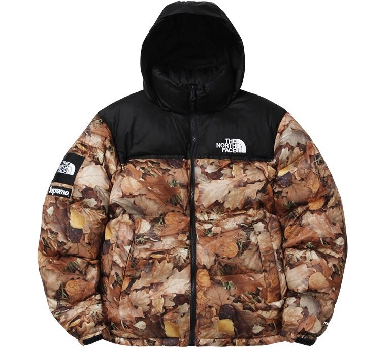 美品　Supreme × The North Face  枯葉 2016AWマウンテンパーカー