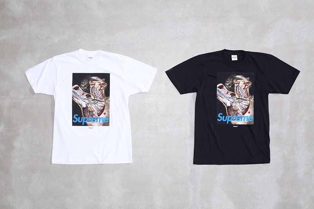 supreme undercover anatomy tee