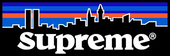元ネタ紹介 Patagonia Logo Supreme Freak