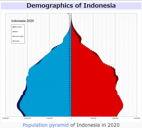 indonesianpopulationpyramid2020001