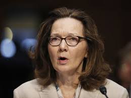 ginahaspel001