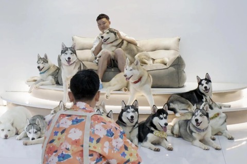 datinggamechinaforeignpolicy001