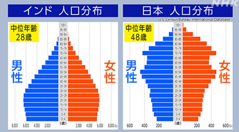 indianandjapanesepopulationpyramids2023001