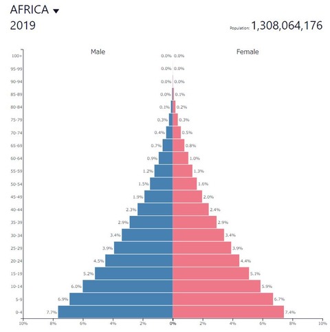 2019populationpyramidafricancountries001