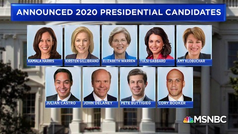 2020democraticpresidentialcandidates001
