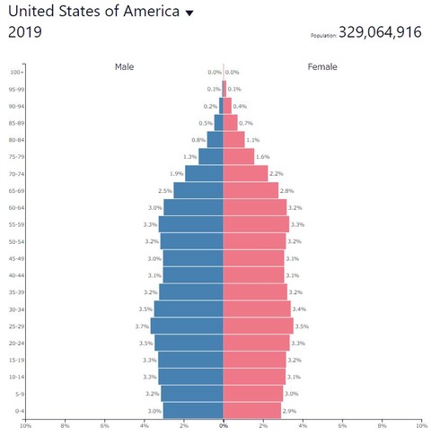 2019populationpyramidusa