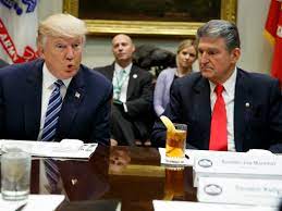 donaldtrumpjoemanchin001
