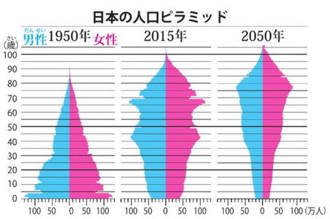 japanesepopulationpyramid195020152050001