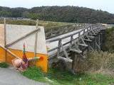 hashi