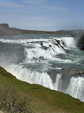 IMG_5636