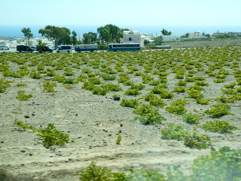 P1110211