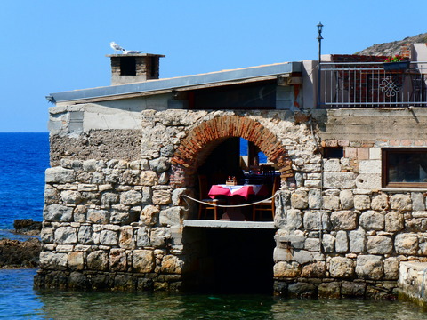 P1100568