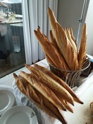 IMG_8571