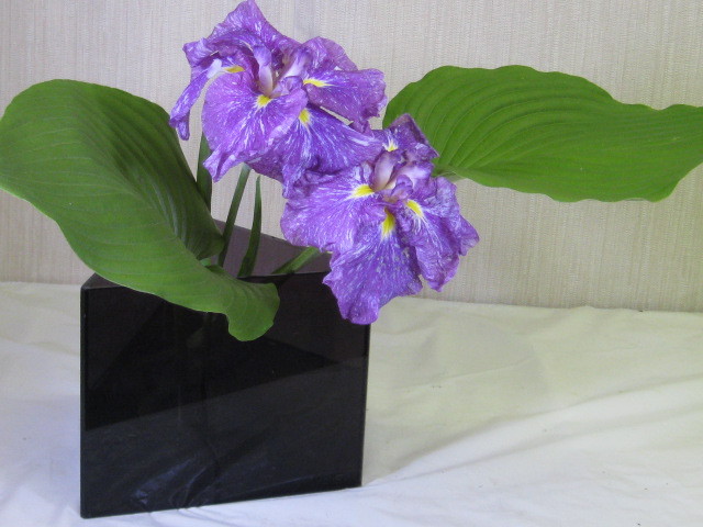 子供達は花好きだった 花太郎の話 子供達は花好きだった 花太郎の話