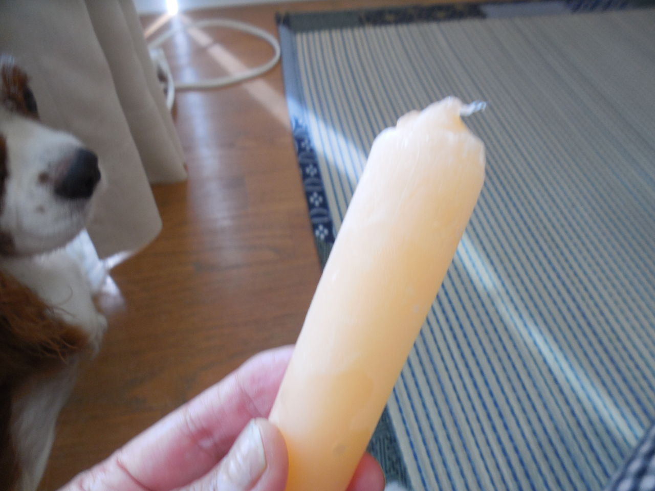 冷たくおいしいポッキンアイス キャバリア エル君といちごちゃん