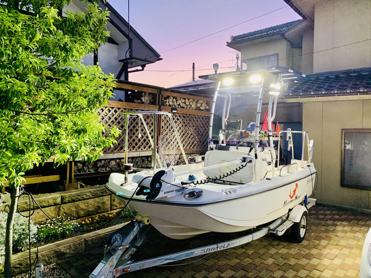 素晴らしきボート、ハンマーヘッド                koichi