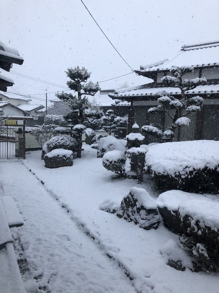 1月8日の雪景色 Hhanta53のblog 1月8日の雪景色 Hhanta53のblog