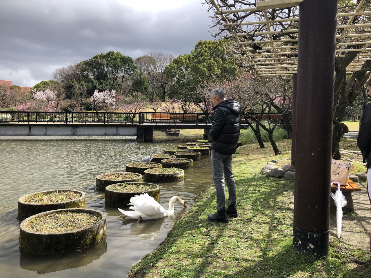 高島野十郎展 Hhanta53のblog