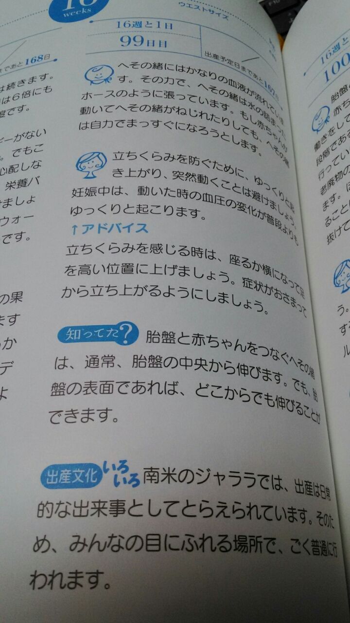 へその緒ってどことどこがつながっているか知っていますか 無事に出産できるかな へその緒ってどことどこがつながっているか知っていますか 無事に出産できるかな