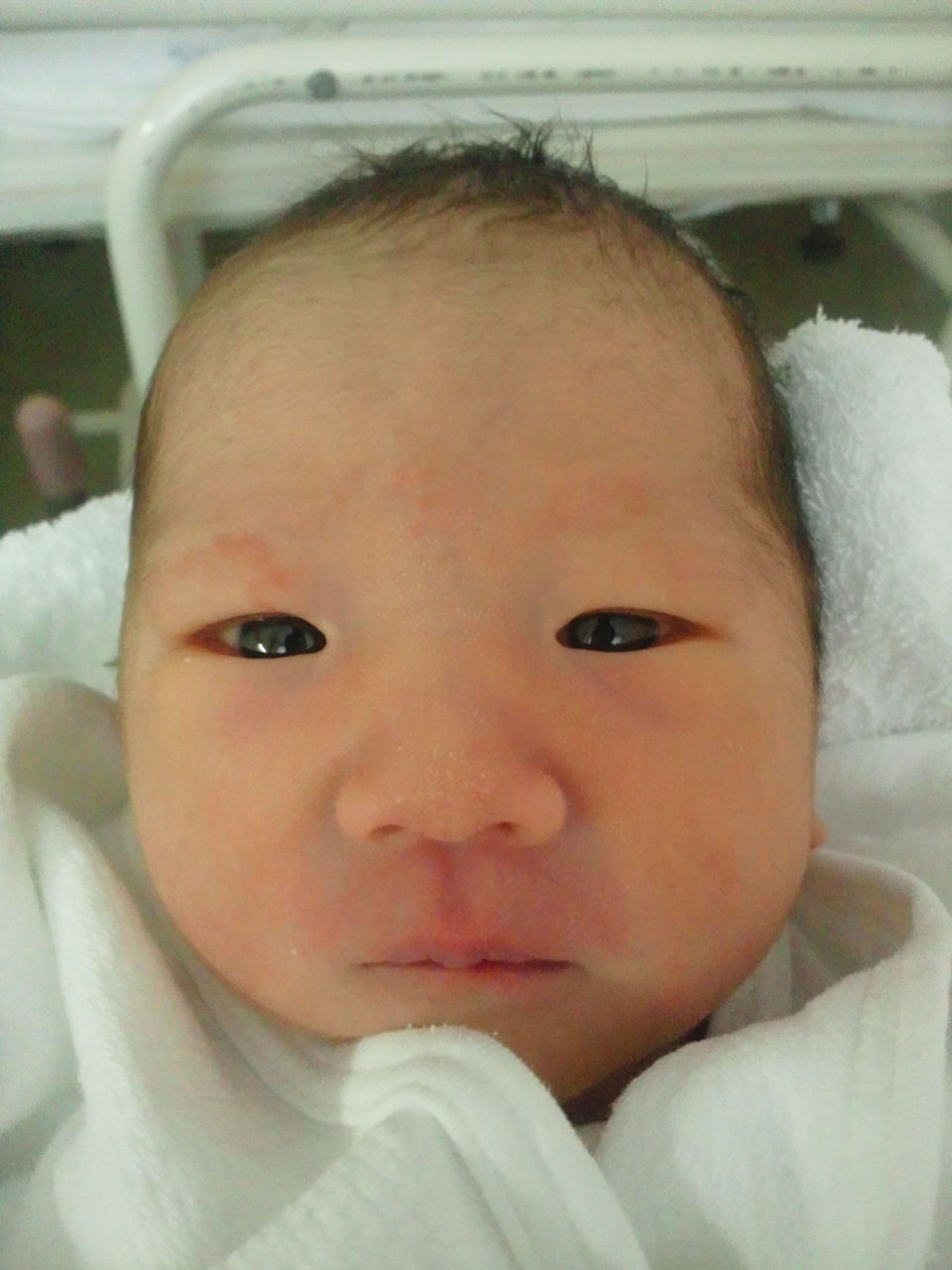 ぽんちゃんです 無事に出産できるかな ぽんちゃんです 無事に出産できるかな