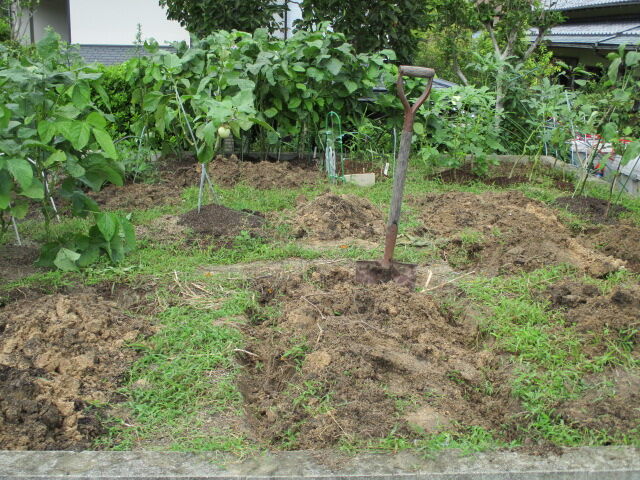 歴史で遊ぶ三國会 家庭菜園の今 秋冬野菜の 整地