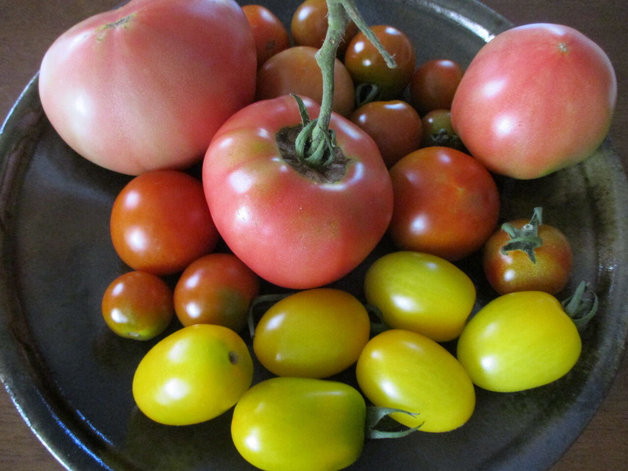歴史で遊ぶ三國会 トマト 収穫後 常温で置いておくと色づき濃くなる