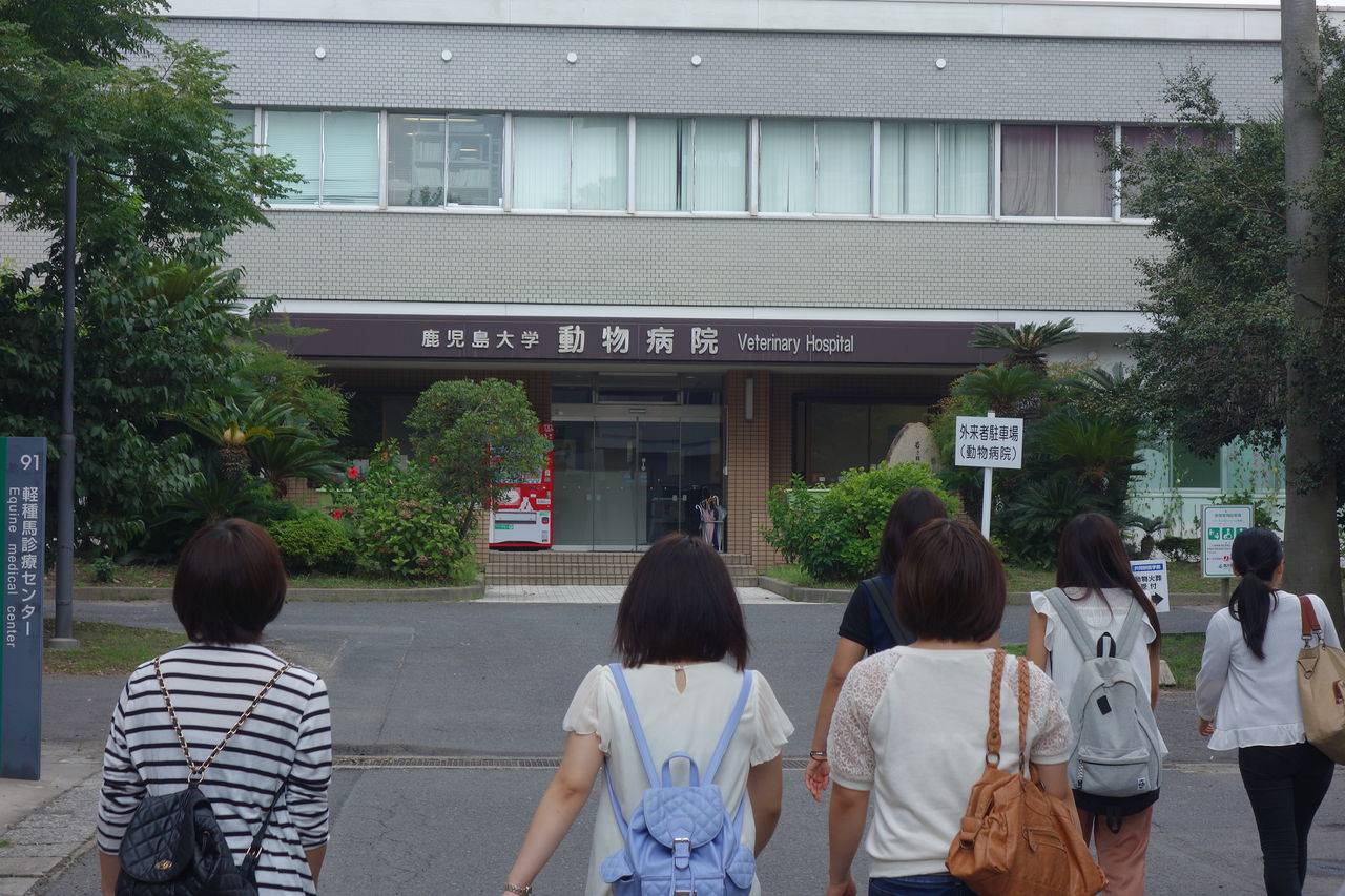 鹿児島大学共同獣医学部 附属動物病院へ見学 アニマルブログ 鹿児島大学共同獣医学部 附属動物病院へ見学 アニマルブログ