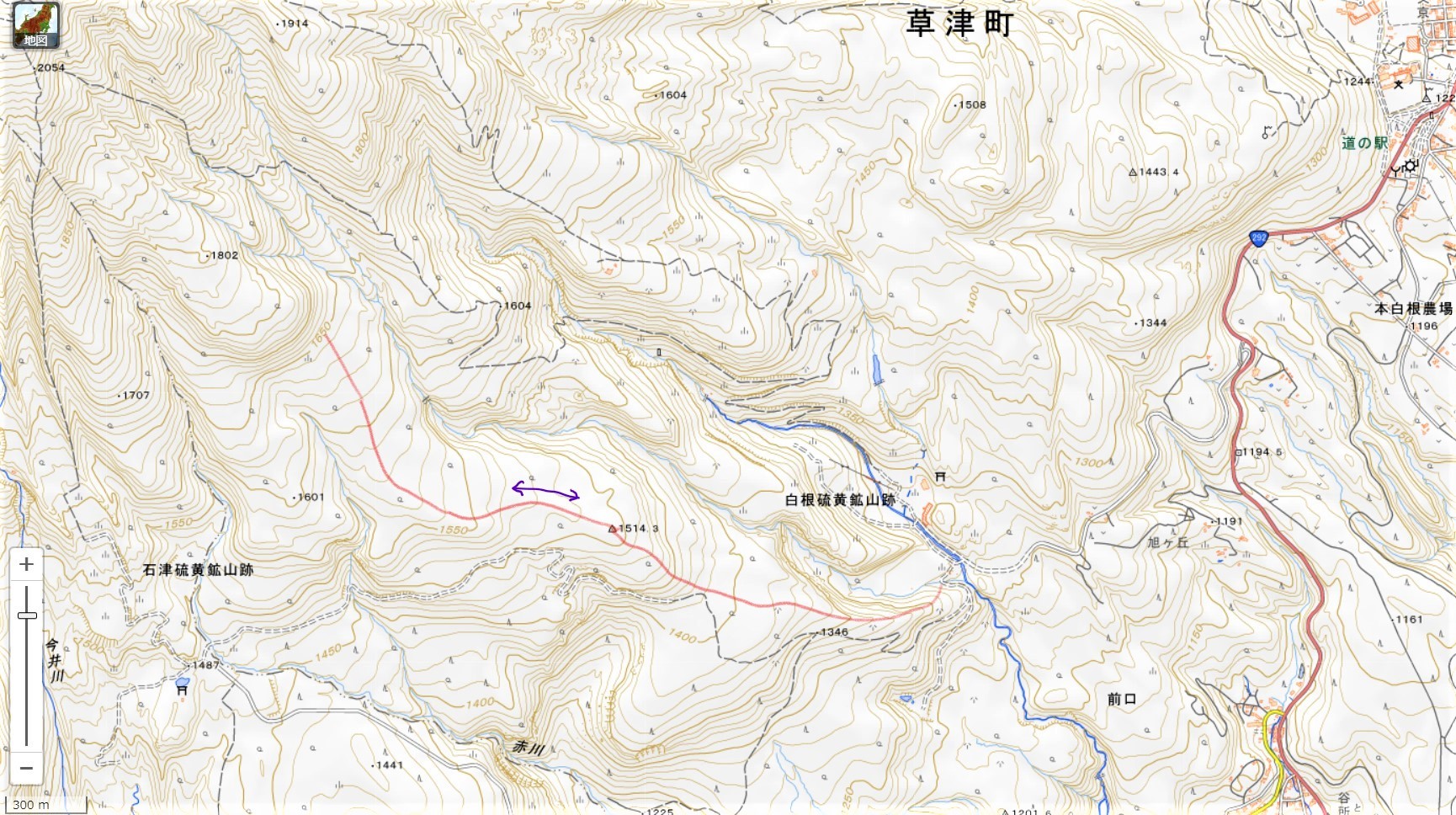 残雪の草津白根山中腹 マイナー登山レポート Hi Ei 残雪の草津白根山中腹 マイナー登山レポート Hi Ei