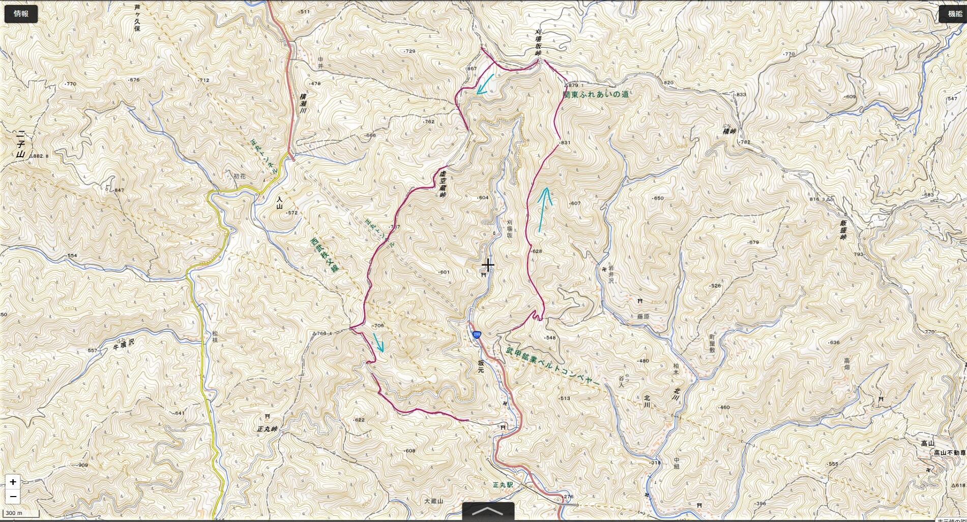 奥武蔵 ツツジ山から旧正丸峠 手軽な周回コース マイナー登山レポート Hi Ei 奥武蔵 ツツジ山から旧正丸峠 手軽な周回コース マイナー登山レポート Hi Ei