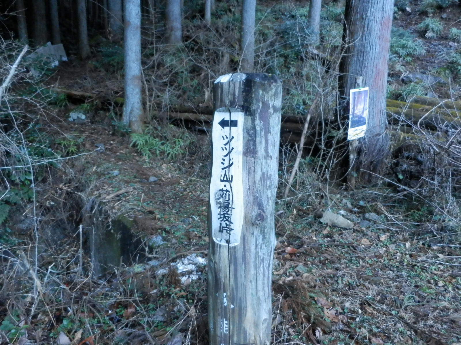 奥武蔵 ツツジ山から旧正丸峠 手軽な周回コース マイナー登山レポート Hi Ei 奥武蔵 ツツジ山から旧正丸峠 手軽な周回コース マイナー登山レポート Hi Ei