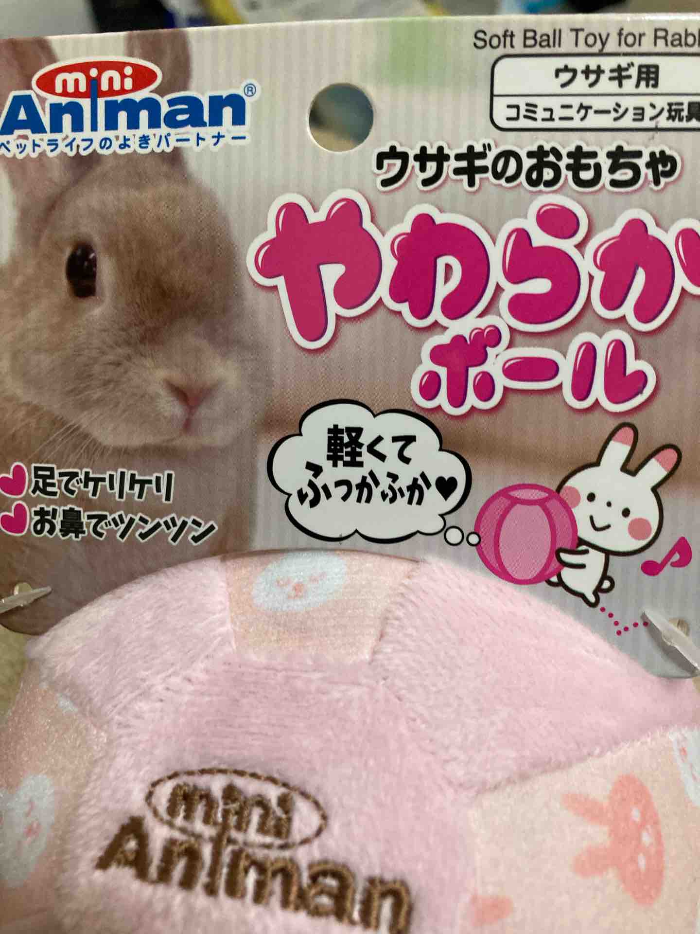 チンチラ様にボールを も っと モルってる チンチラ様にボールを も っと モルってる