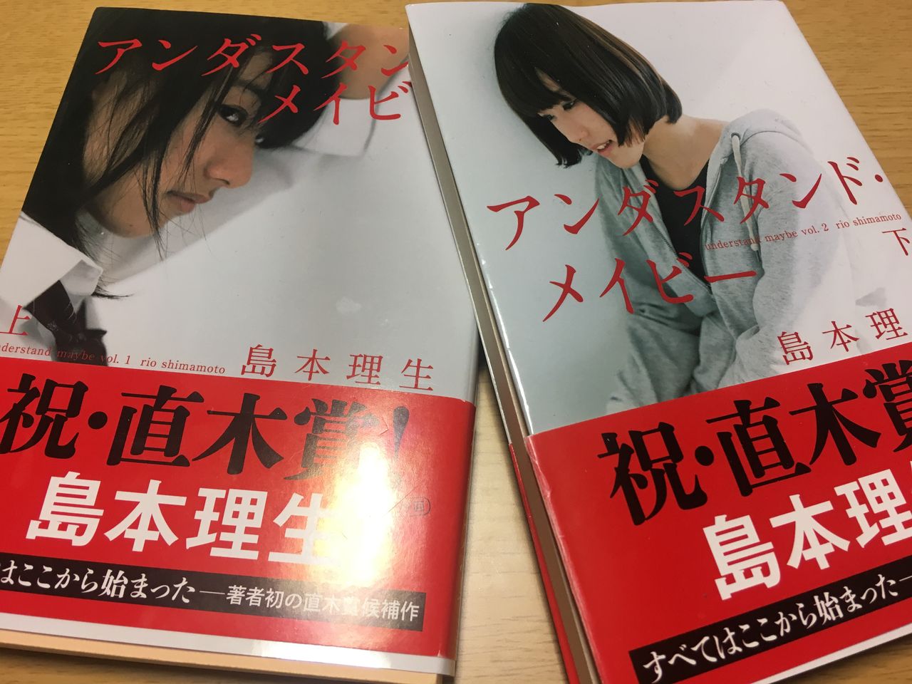 島本理生 アンダスタンド メイビー 上下巻 俺が栃木のサウスポー 島本理生 アンダスタンド メイビー 上下巻 俺が栃木のサウスポー
