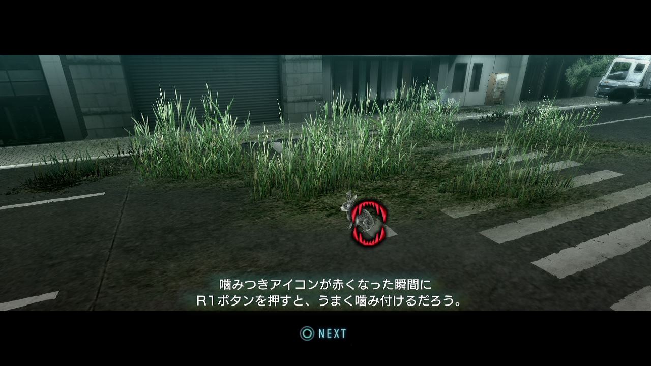 Tokyo Jungle 初プレイ トロコン クリア状況確認とかいろいろ