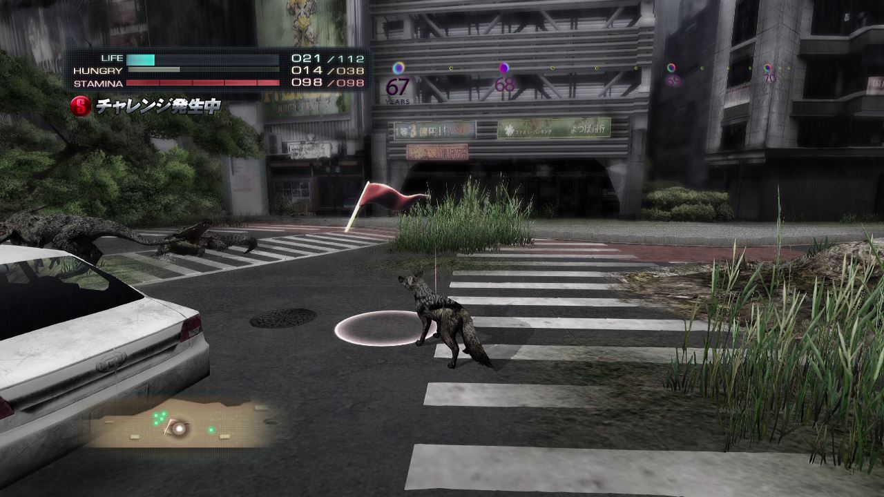 Tokyo Jungle 初プレイ トロコン クリア状況確認とかいろいろ