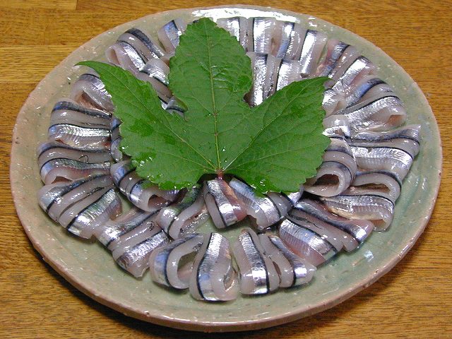 きびなごの刺身 酒仙庵