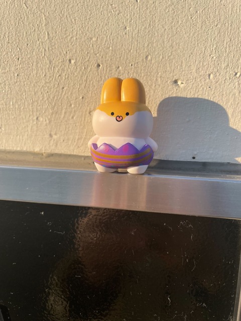 うさぎ