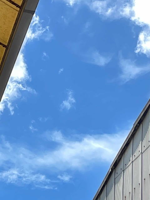 iOS の画像 (11)