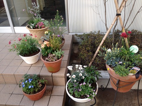 お花
