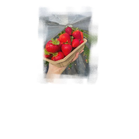 photo-output