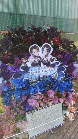 イメージ 15