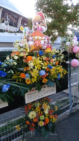 イメージ 7