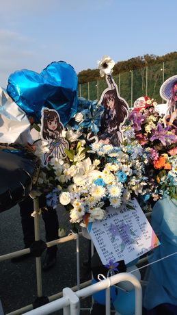 イメージ 7