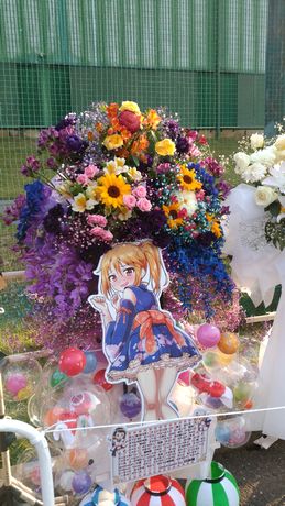 イメージ 12