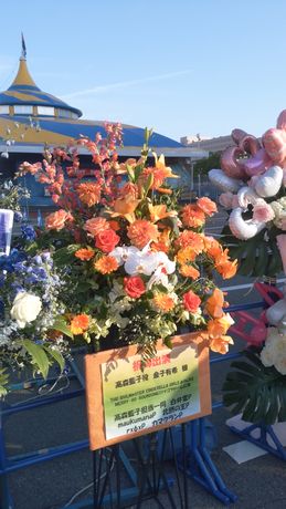イメージ 16