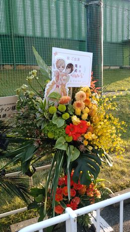 イメージ 17