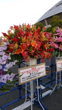 イメージ 5