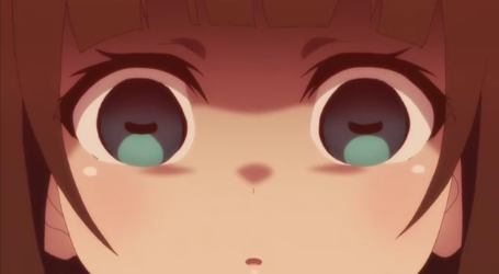 イメージ 9