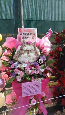 イメージ 19